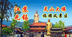 大鸡巴日B视频江苏无锡灵山大佛旅游风景区