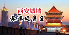 黑丝嫩穴p中国陕西-西安城墙旅游风景区
