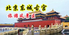 中学生潮吹在线看中国北京-东城古宫旅游风景区